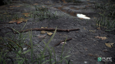 Forest Ground Tiling Texture Tutorial