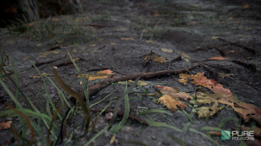 Forest Ground Tiling Texture Tutorial